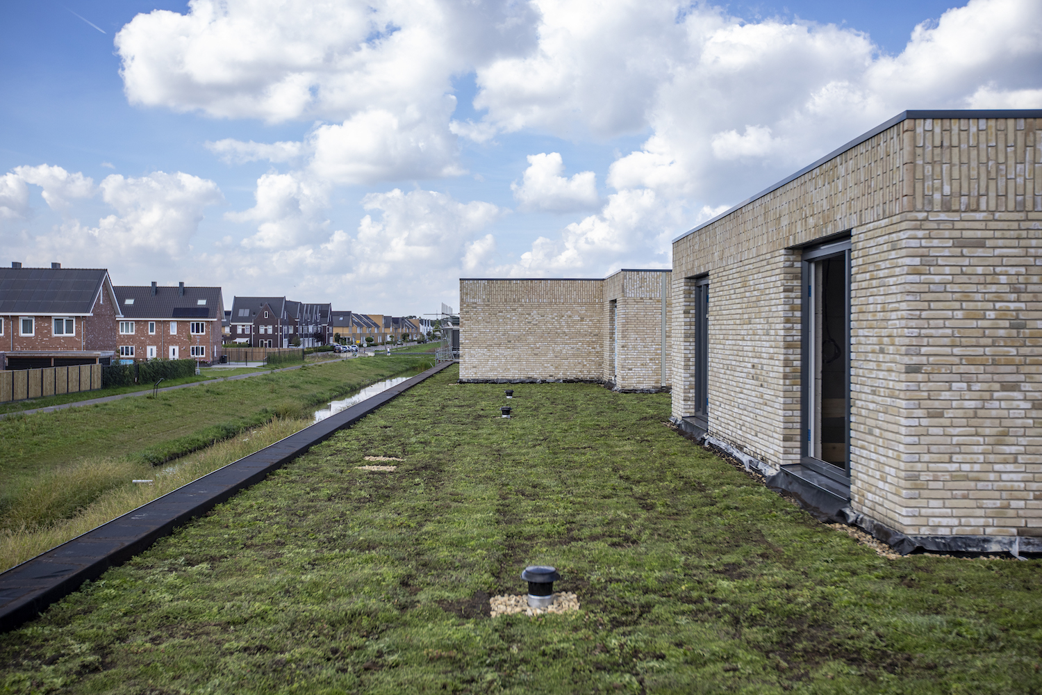Woningen Frisiusschans voorzien van mos sedumdak
