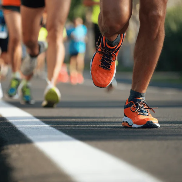 Marathon Zeeuws Vlaanderen