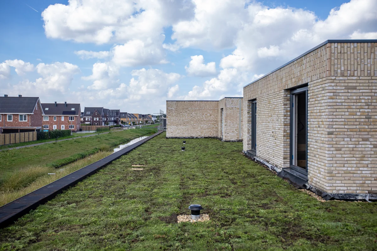 Woningen Frisiusschans voorzien van mos sedumdak