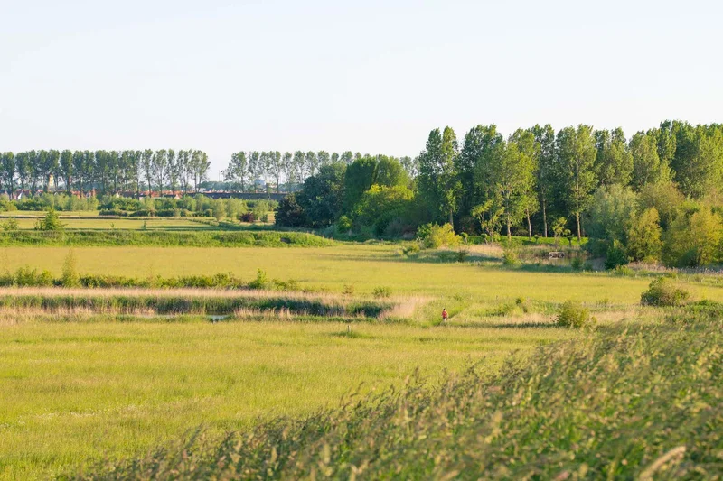 Wandelgebied Margarethapolder