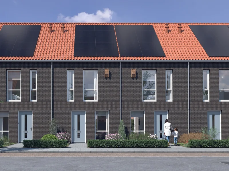 Nieuw! Project Stek. Natuurlijk wonen met een hart van hout.